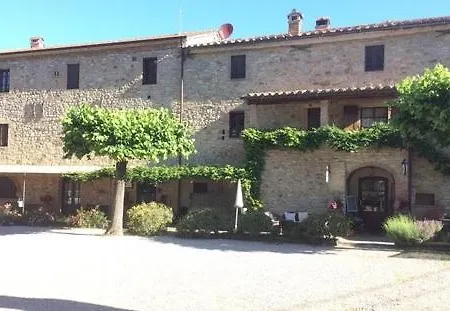 Algioja