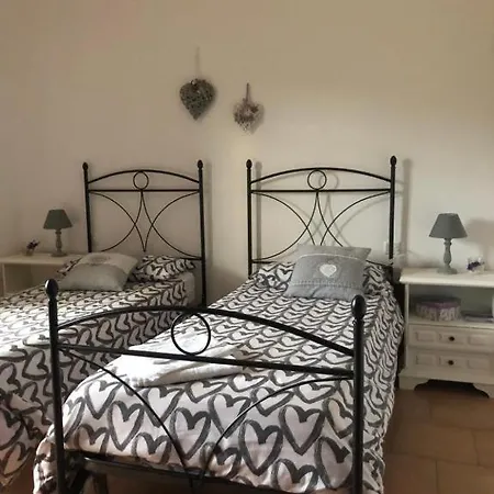 Algioja *