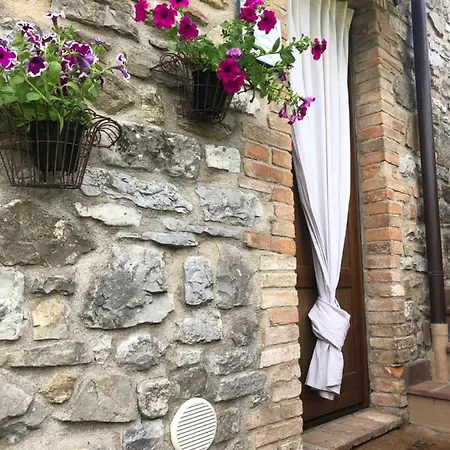 Algioja Passignano sul Trasimeno