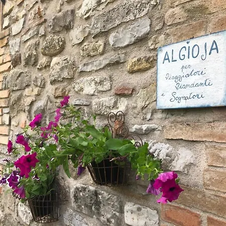 Algioja Apartmán *