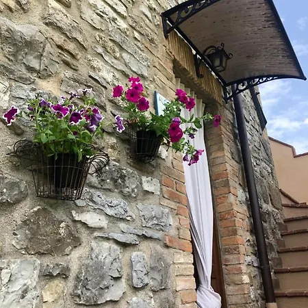 Algioja *