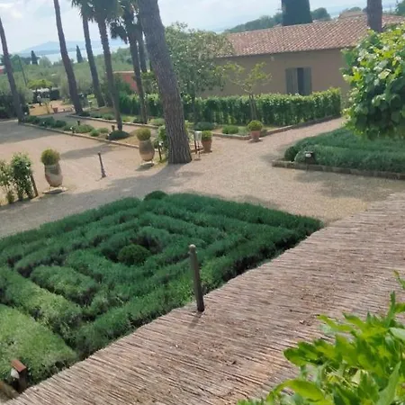 Algioja *